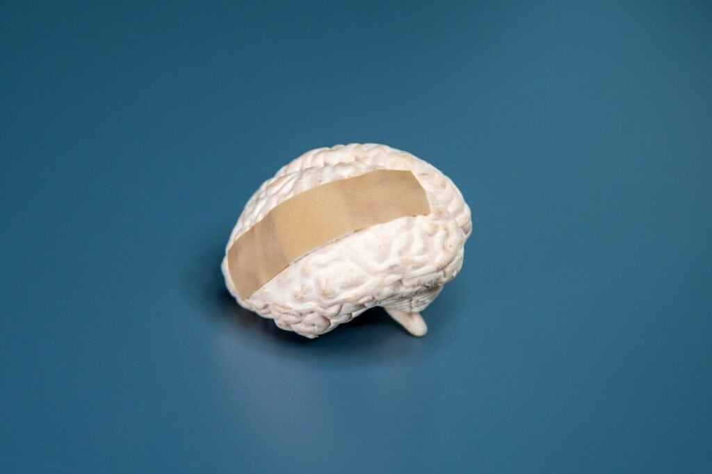 Human brain model with a white bandage.
